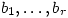 b_1,\dots,b_r