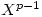 X^{p-1}