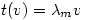 t(v)=\lambda_m v