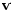 \mathbf{v}